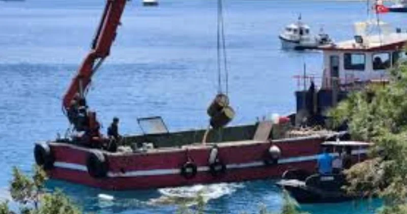 Denizden 50 ton çıkarıldı: İmha edilecek