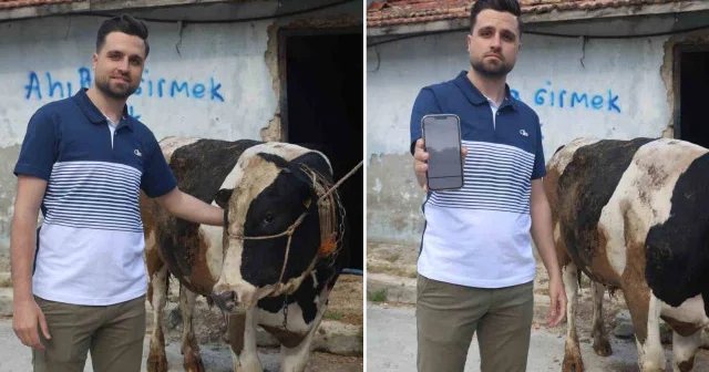Ava giderken avlandım dedi: İnternette gördüğü 2 tosunu almak isterken 250 bin lira dolandırıldı Aktüel Haberleri