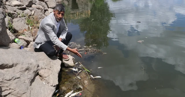 Dicle Nehri nde balık ölümleri; profesörden can suyu uyarısı Diyarbakır Haberleri