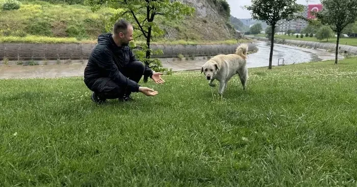 Bankada mahsur kalan köpek alarm sistemini devreye soktu: Çevredekiler hırsız var sandı