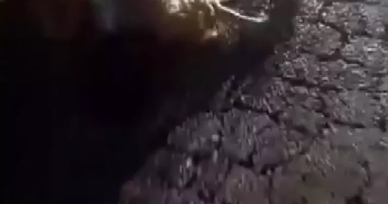 Hatay da feci olay: 10 küçükbaş hayvan telef oldu!