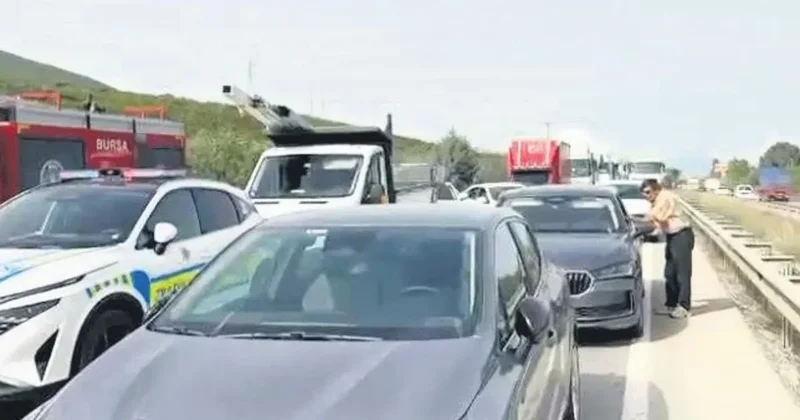 Bir arının yaptığına bak