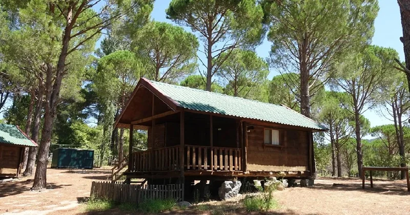 13 ilde bungalov dolandırıcılığı operasyonu: 50 gözaltı