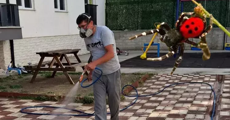 Nadir görülen bir tür! O ilimizde ortaya çıktı! Görüldüğü an dokunulmasın