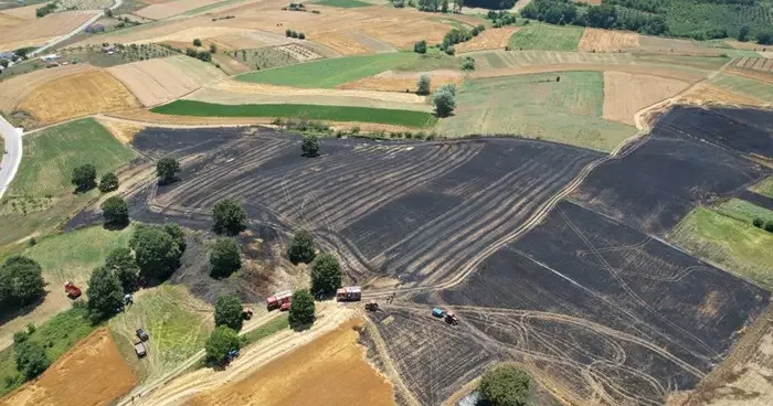 Sakarya da 150 dönümlük tarım arazisi kül oldu