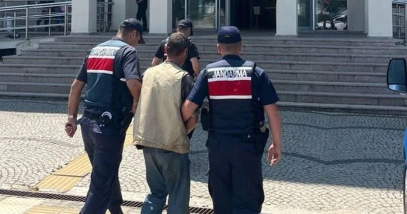 Çanakkale de evinde 77 kök kenevir ele geçirilen şüpheli tutuklandı Güncel haberler