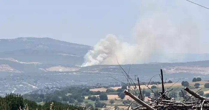 Bursa da Kayapa bölgesinde orman yangını