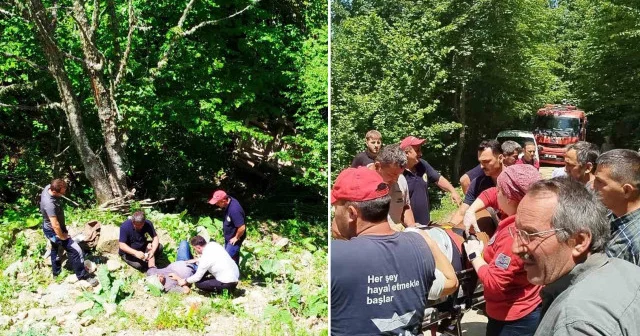 Zonguldak ta otomobil 80 metreden şarampole devrildi: 3 kişi yaralandı Zonguldak Haberleri