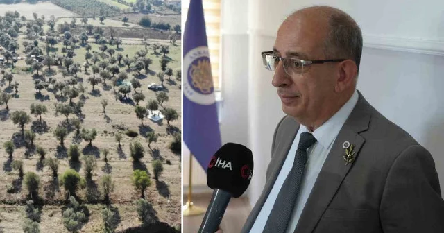 Prof. Dr. Mücahit Taha Özkaya: Zeytinlikler zarar görmeden taşınabilir Gündem Haberleri