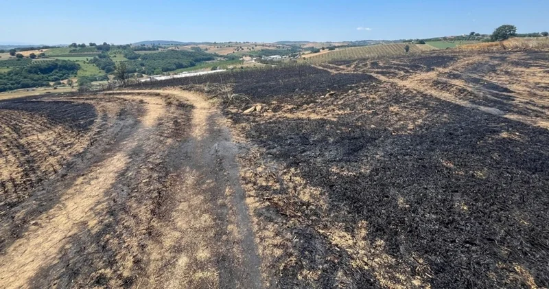 Alevler ekili araziyi yuttu: 150 dönüm tarlada hasar