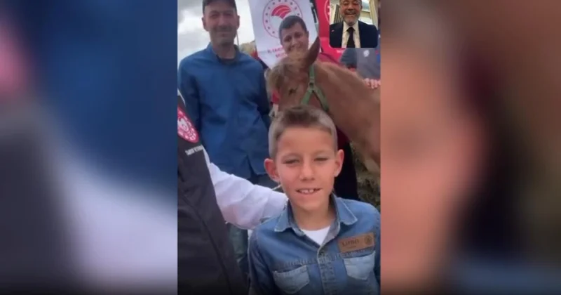 Bakan Yumaklı, yaralı tay Nazlı için yapılan yardım çağrısını karşılıksız bırakmadı