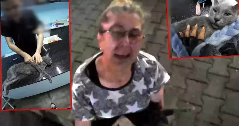 Esenyurt ta kadın motokuryenin kalbi duran kediyi kurtarma çabası kamerada
