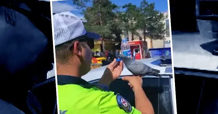 Trafik polisinin merhameti kalpleri ısıttı Valilik görüntüleri paylaştı: Yürekten alkışlıyoruz