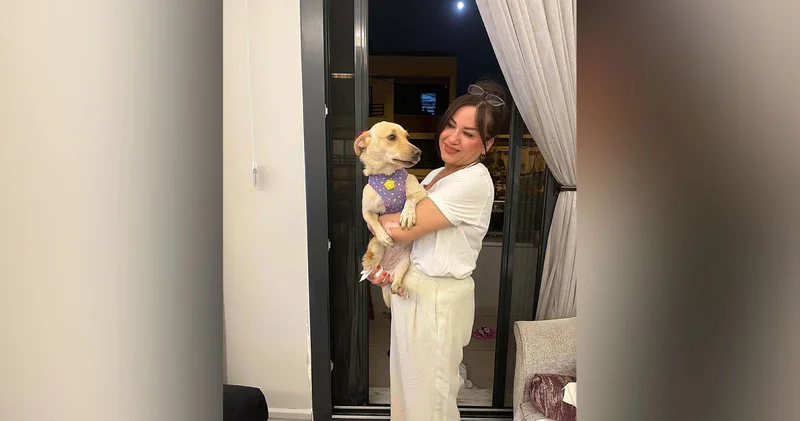Aydın da gördüğü vahşi şiddetin ardından felç kalan sevimli Hayat, Almanya da yeni yuvasına kavuştu