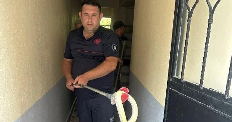 Eve giren yılan korkuya neden oldu