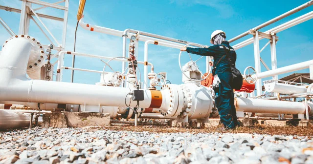 Petrol ve doğal gaz arzında sorun yok Ekonomi Haberleri