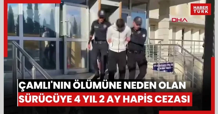 Pendik te mühendis Ecem Sultan Çamlı nın ölümüne neden olan sürücüye 4 yıl 2 ay hapis cezası