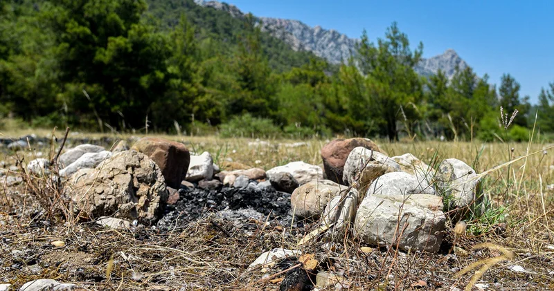 Bunun adı çevre katliamı: Ormanda ateş yaktılar, etrafa cam şişe bıraktılar