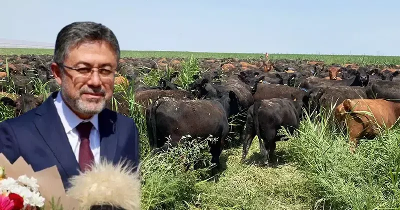 Bakan Yumaklı: Üreticilerimize hayvan başına yıllık 18 bin lira destek vereceğiz