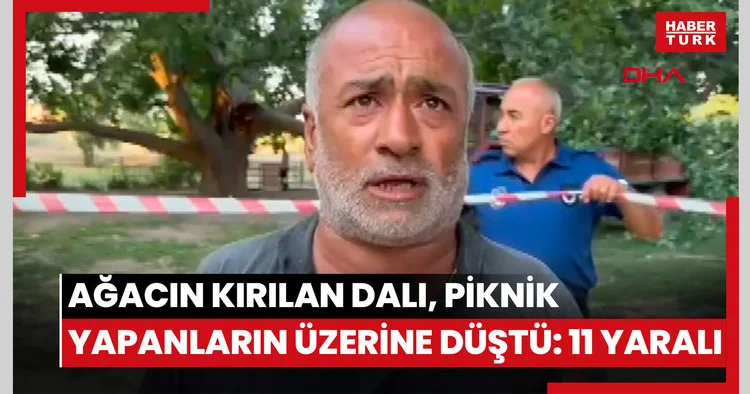 Ağacın kırılan dalı, piknik yapanların üzerine düştü: 11 yaralı