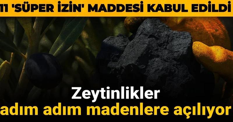 Zeytinlikler adım adım madenlere açılıyor: 11 Süper İzin maddesi kabul edildi