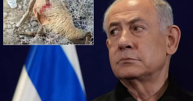 Sözün bittiği yer! Netanyahu nun son vahşeti