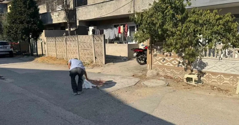 Oğlu tarafından pompalı tüfekle vurulmuştu: Baba kurtarılamadı
