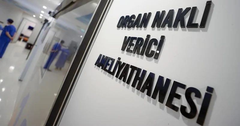 Türkiye canlı vericili nakiller de dünyada böbrekte ilk, karaciğerde ikinci sırada Sağlık Haberleri