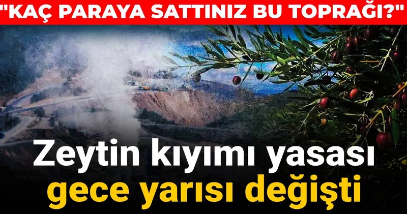 Zeytin kıyımı yasası gece yarısı değişti: Kaç paraya sattınız bu toprağı?