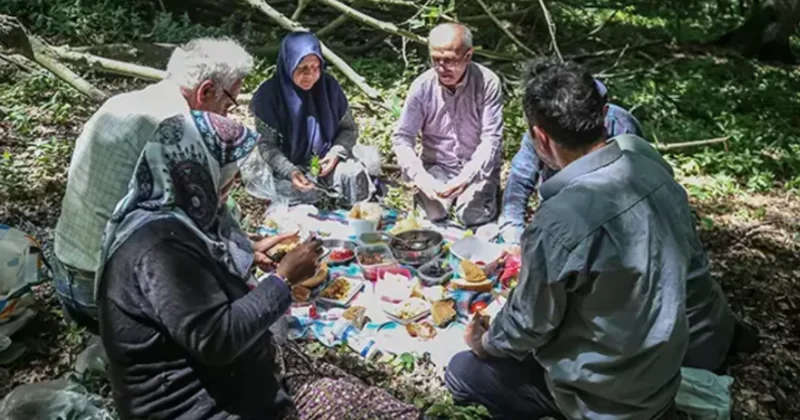 Ormandan toplayıp 81 şehre kilosunu 1400 TL ye satıyorlar: Kapış kapış gidiyor Sözcü Gazetesi