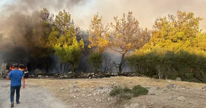 Çanakkale de park halindeki midibüste çıkan yangın ormana sıçradı