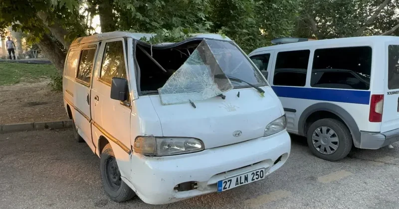 Ereğli de Ağacın Dalı Pikniğe Düştü: 11 Yaralı