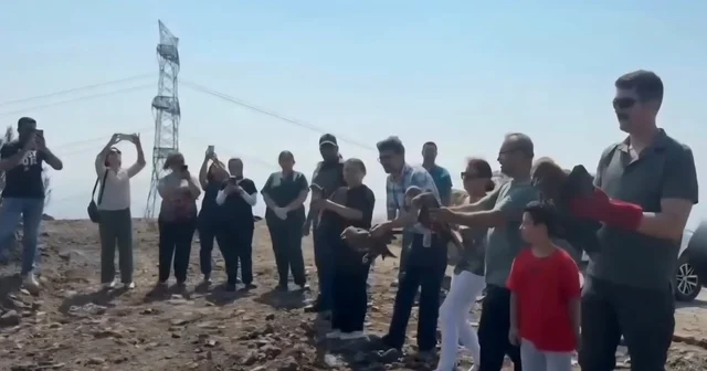 Hatay da tedavisi tamamlanan 11 yabani kuş doğaya salındı Hatay Haberleri