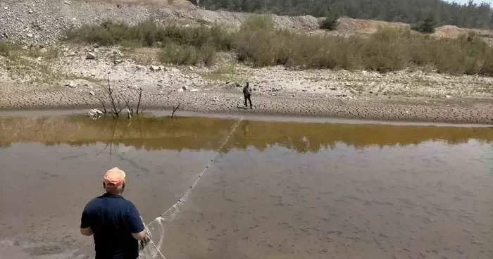 Manisa da balıklar ölmesin diye zamanla yarıştılar! Kurumlar seferber oldu