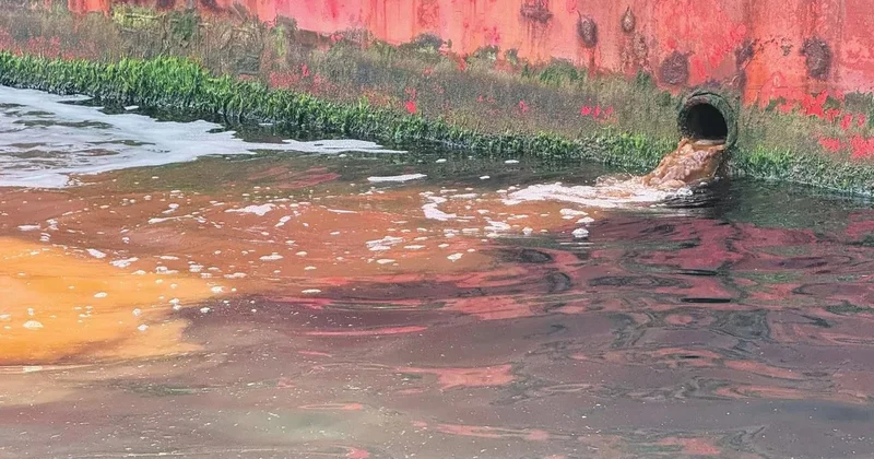 Marmara’ya oluk oluk pislik akıttılar