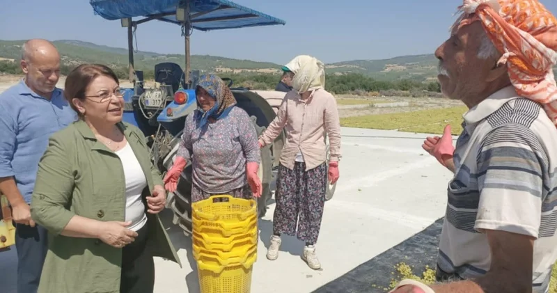 Gülizar Biçer Karaca dan Tarım Bakanlığına kurum üzüm çağrısı