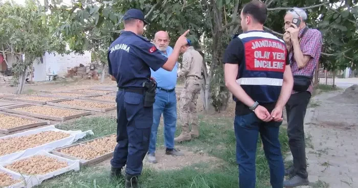 Germencik’te incir hırsızlığına karşı jandarmadan sıkı denetim