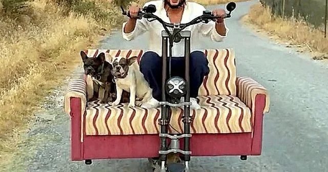 Çift kişilik koltuk monte ettiği skuter ile köpekleriyle yolculuk yaptı Muğla Haberleri
