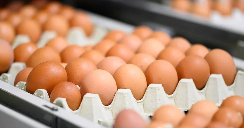 Market raflarındaki yumurtalar acilen geri çağrılıyor: Uzmanlar tek tek uyardı Sözcü Gazetesi