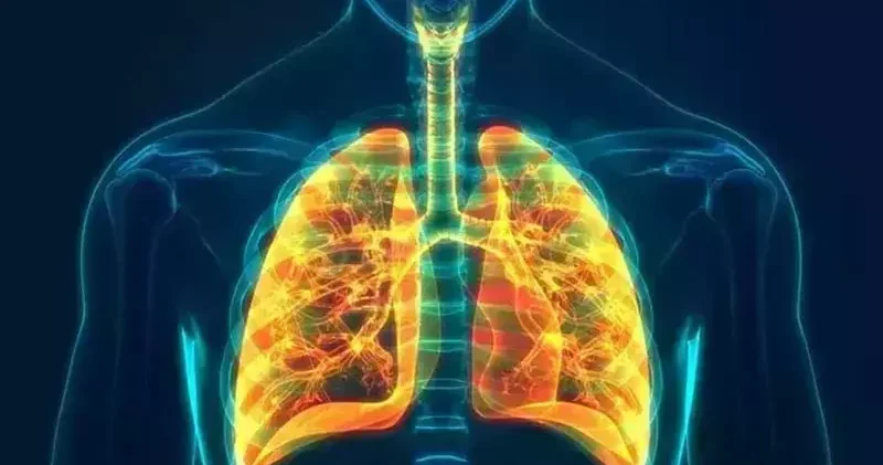 Türkiye nin organ nakli üssü, akciğer nakline başlıyor