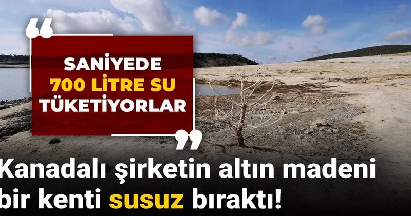 Kanadalı şirketin altın madeni bir kenti susuz bıraktı!