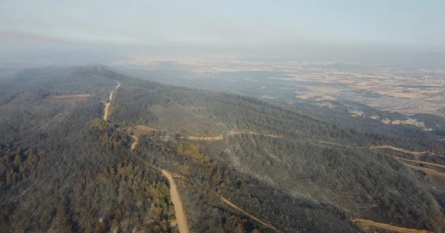 Çanakkale deki orman yangınında zarar gören alanlar dron ile görüntülendi Çanakkale Haberleri