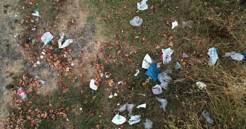 Sakarya da çevre rezaleti: Piknik alanı çöplüğe döndü