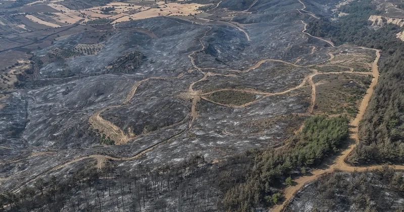 Çanakkale yandı, geriye yürek sızlatan görüntüler kaldı