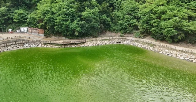 30 kamyon çöp çıkarılan Sera Gölü, berraklaştı Trabzon Haberleri