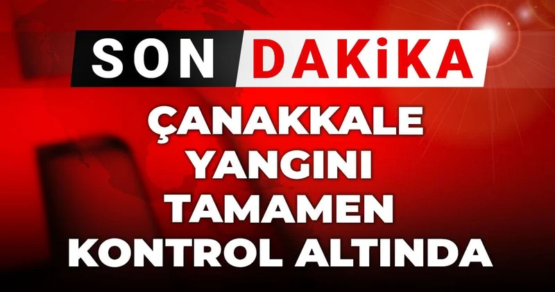Son dakika Çanakkale yangını tamamen kontrol altında