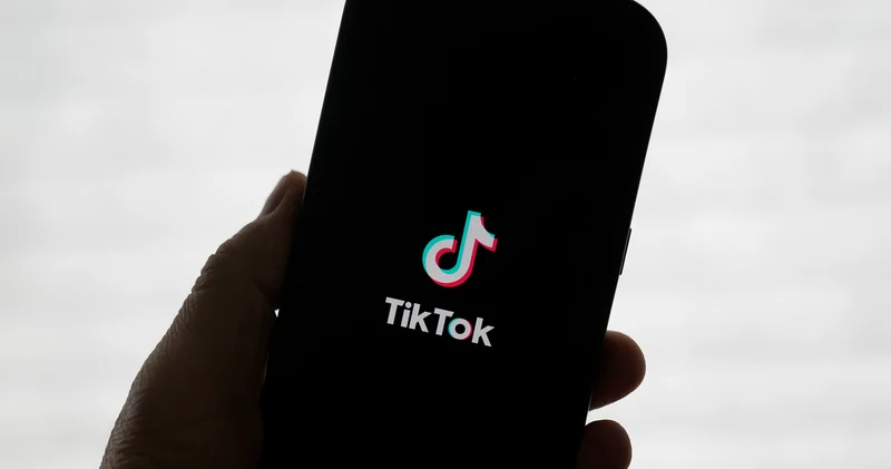 Skibidi , tradwife , delulu ... TikTok jargonu dünyaca ünlü sözlükte!