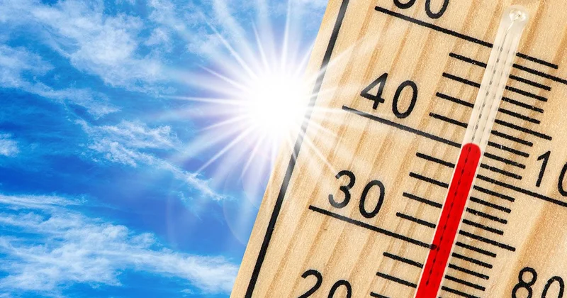 Yüksek sıcaklıklar tarım ve çevreyi olumsuz etkiliyor
