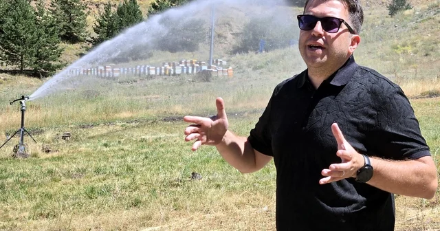 Palandöken i ağaçlandırma ve çimlendirme projesinde arılar da kullanılıyor Erzurum Haberleri