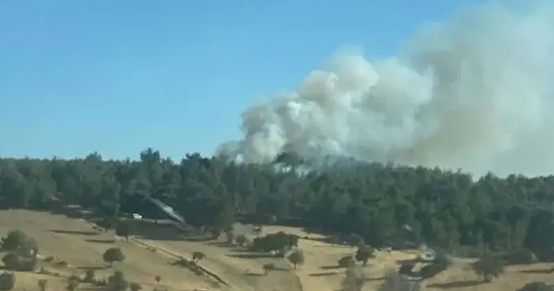 Çanakkale de orman yangını